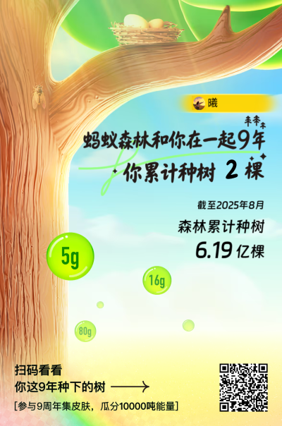 种棵树