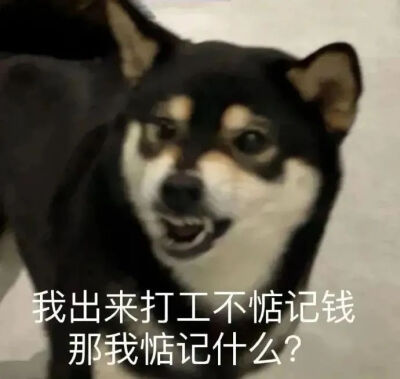 表情包