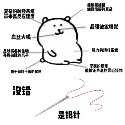 自嘲熊梗图