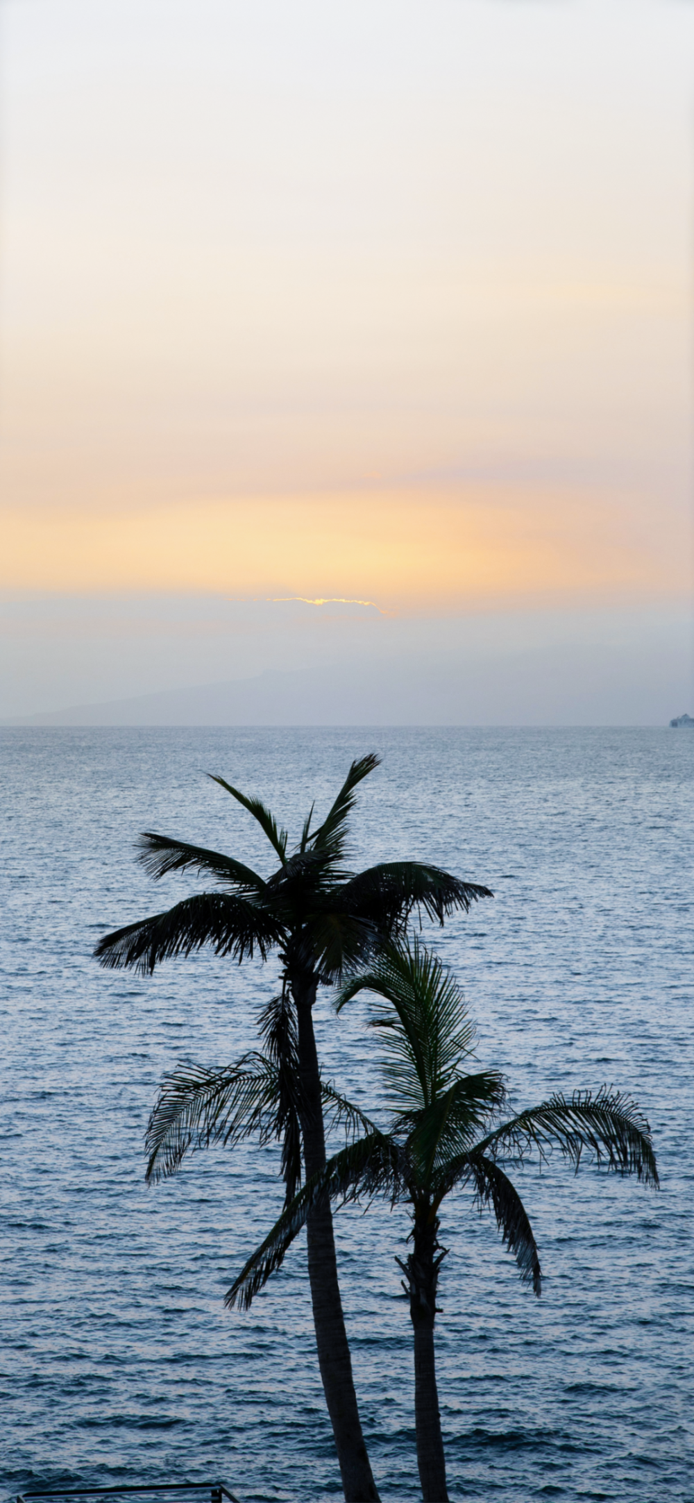 景