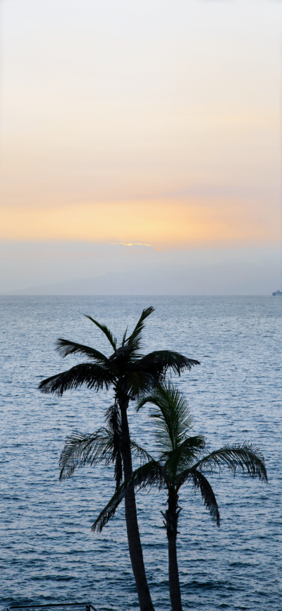 景