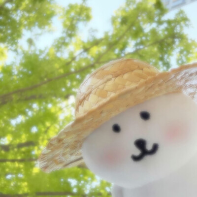 自嘲熊头像