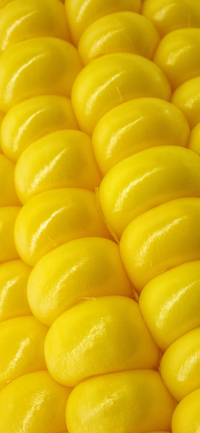 yummy 