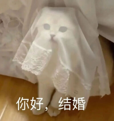 表情包