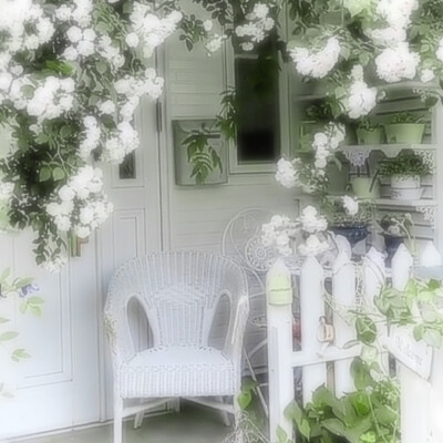 Moss-grown lanes—《青石巷》*伞下旧年雨