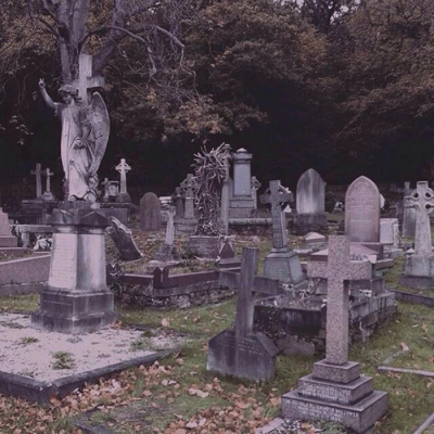 海底长枝玫瑰，埋葬着两个相爱的灵魂。