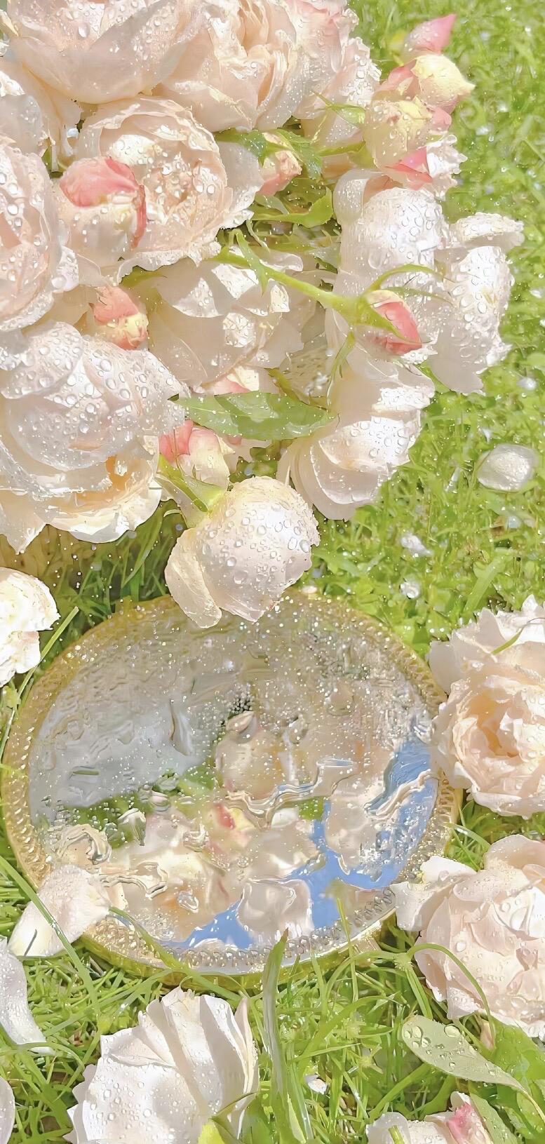 壁纸