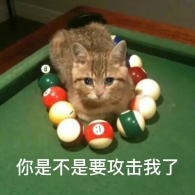 表情包