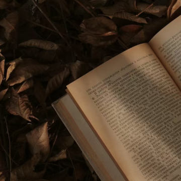 展轩套图可二改