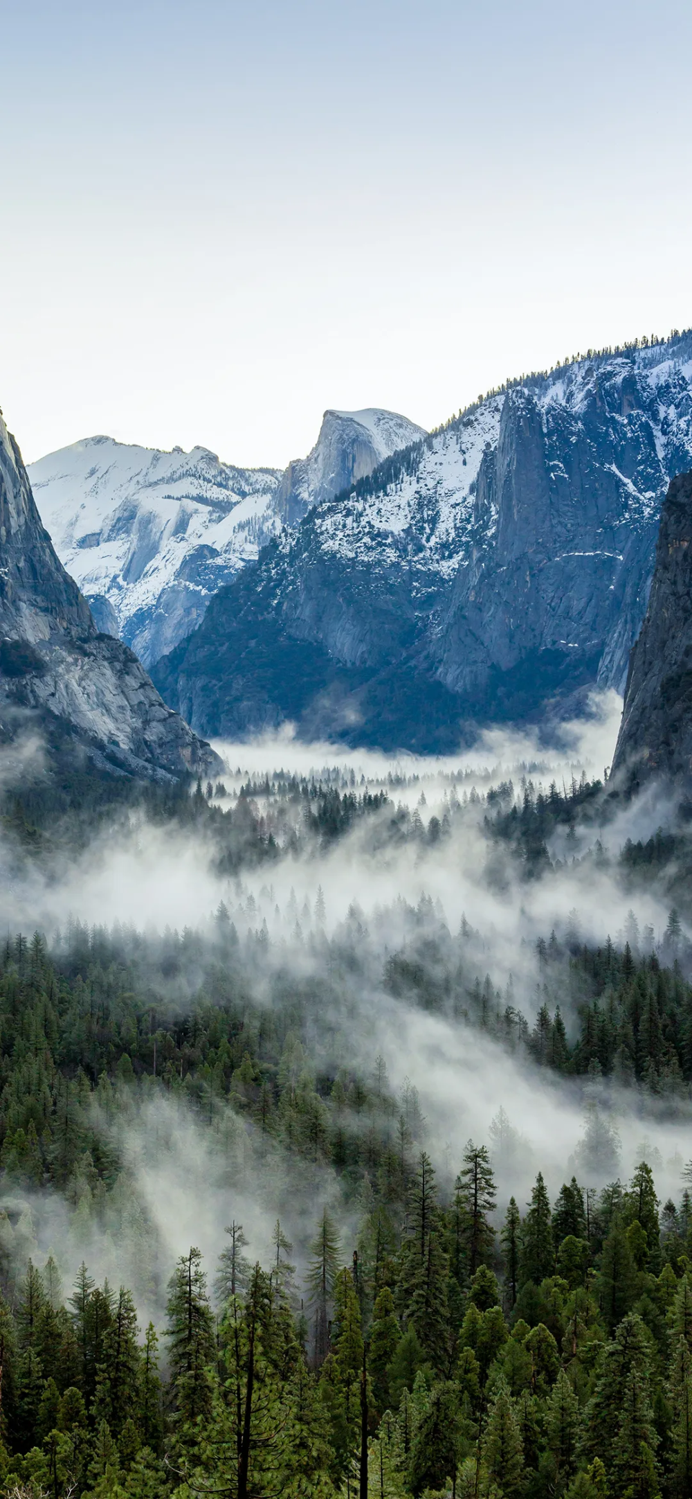 景