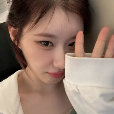 李彩领