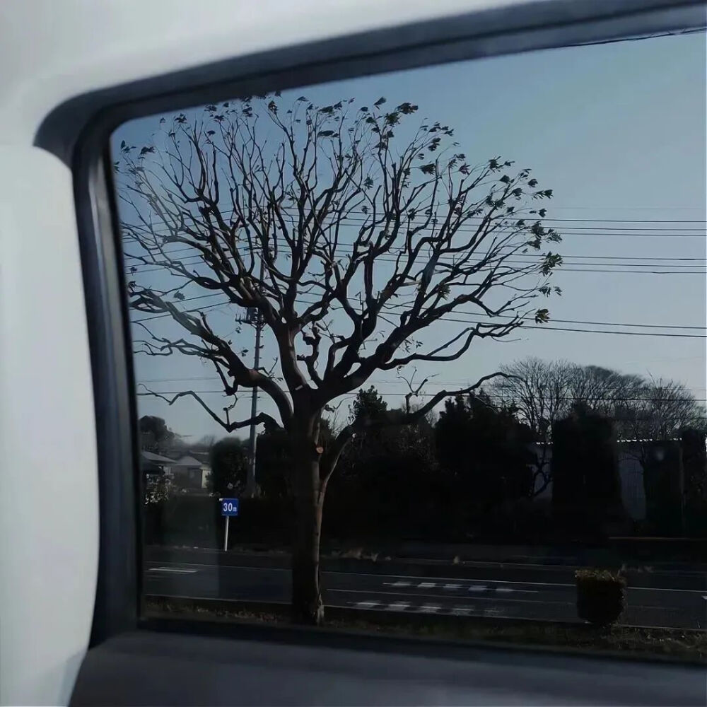 背景图