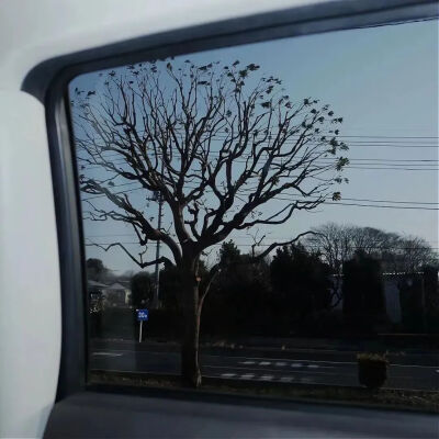 背景图