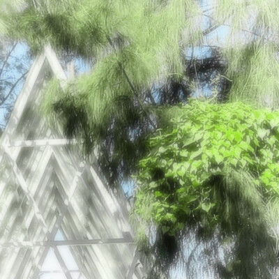 Moss-grown lanes—《青石巷》*伞下旧年雨