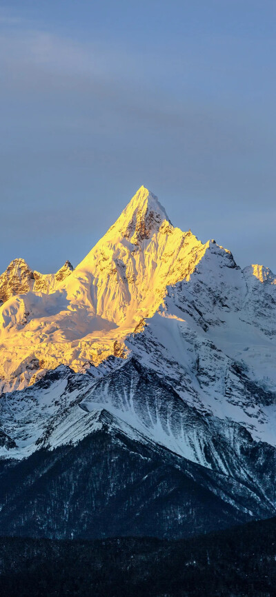 景