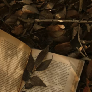 展轩套图可二改