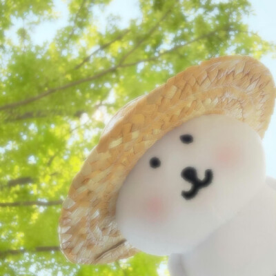 自嘲熊头像