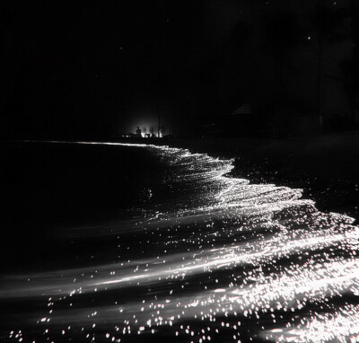 鞠婧祎’
「yt陈妄」