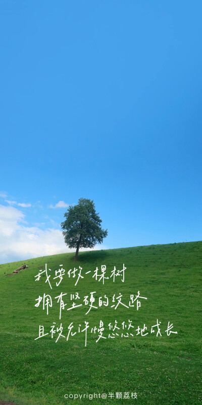 文字壁纸/
cr.@半颗荔枝i