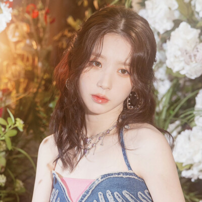 田姬振可二改
