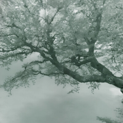 ᵔ⤙ᵔ