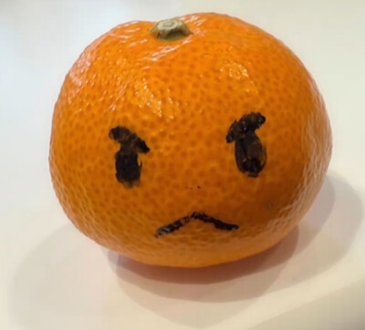 ✧ (◍˃̶ᗜ˂̶◍)✩