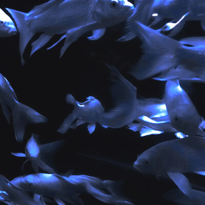 雨爱的秘密，能一直延续