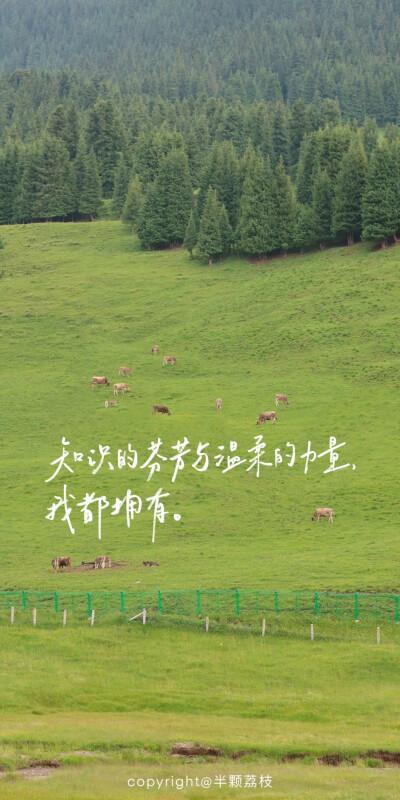 文字壁纸/
cr.@半颗荔枝i