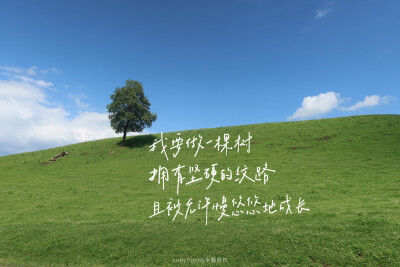 iPad壁纸/
cr.@半颗荔枝i