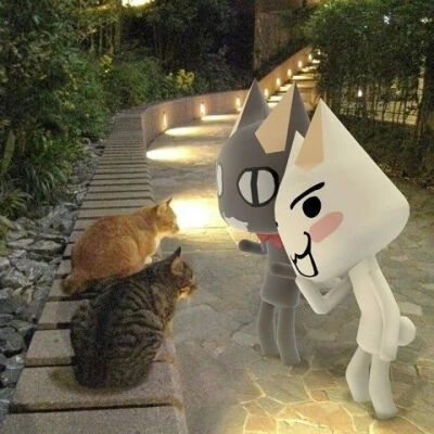 ✧⁺⸜(●˙▾˙●)⸝⁺✧