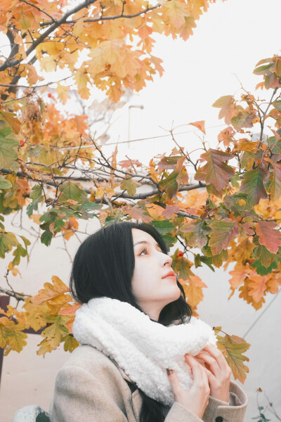 哈妮克孜