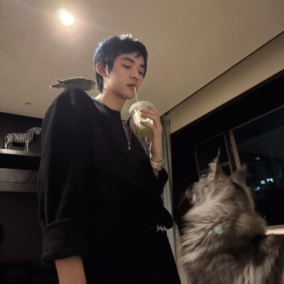 ˖⁩ ♡︎