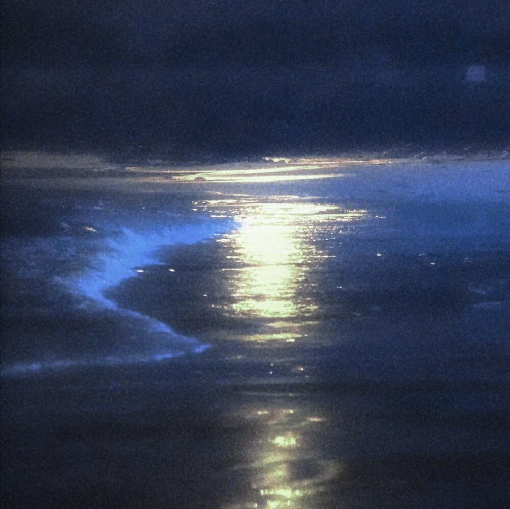 ： 我只是覺得過去的你應該不會捨得讓我難過
