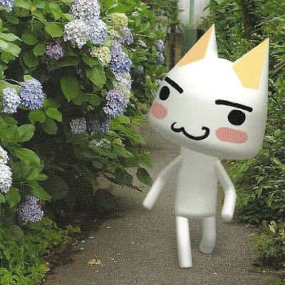✧⁺⸜(●˙▾˙●)⸝⁺✧