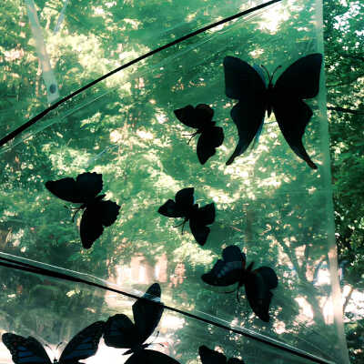 绿色 小清新 风景