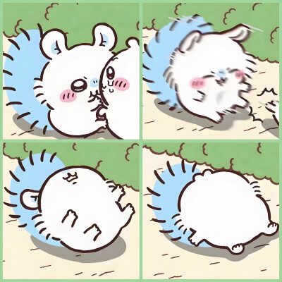 吉伊卡哇