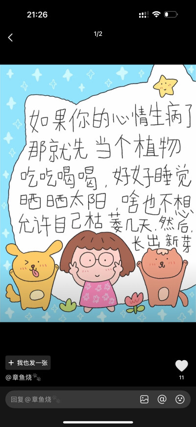 壁纸