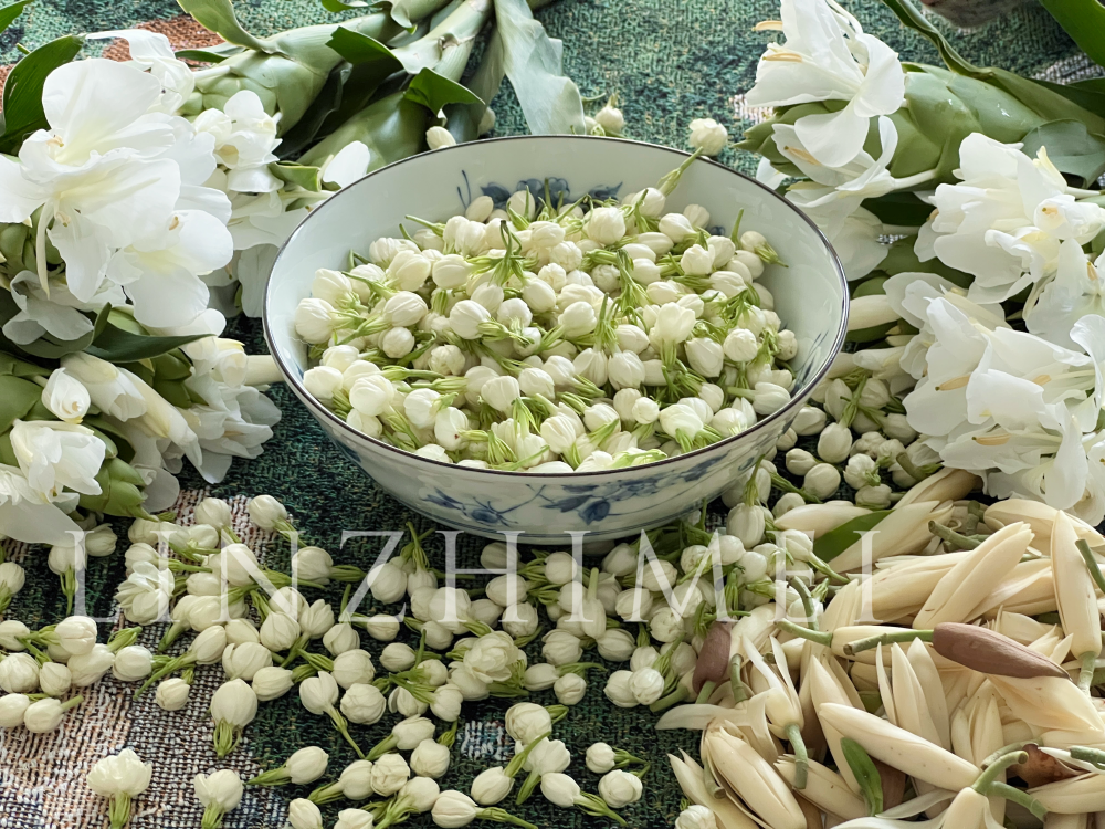 你也喜欢盛夏三白吗?
对路边有阿婆托着盘子卖茉莉、栀子、白兰的城市总是会有好感,日常用花就应该出现在街头巷尾,菜市路边。阿婆可以摘花换点小钱,女孩也可以随地买到香花簪辫子上。加上姜花,其实应该是盛夏四白,虽然是我自己偷偷加的。这四样花,每一种都是记忆里熟悉的香气,亲切好闻,让普通日常变得浪漫,眉眼也变得柔和。茉莉花泡水下肚,呼吸间就能闻到香气。川渝人用白兰花泡酒精制作驱蚊止痒水,今年我也泡了一瓶。姜花娇嫩脆弱,听说可以炒鸡蛋打汤吃,我实在舍不得吃它,日日给它洒水又任由短暂花期流逝。栀子花已经过季很久,在我家乡的山上,野生栀子很多,花瓣当蔬菜,果实做药材,我总在四月摘一大把插在家里。