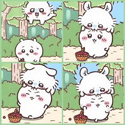 吉伊卡哇