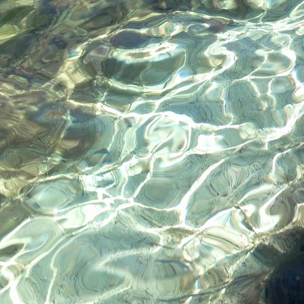 绿色 小清新 风景