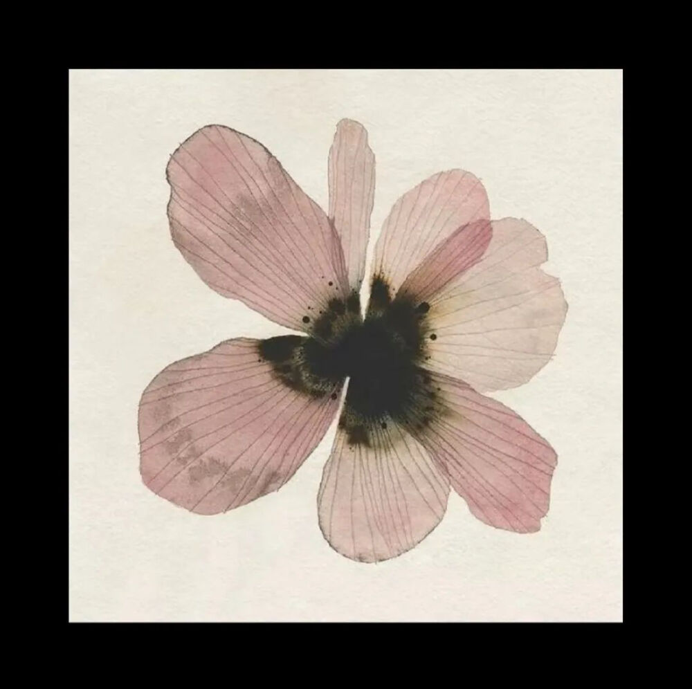 ٩(˃̶͈̀௰˂̶͈́)و