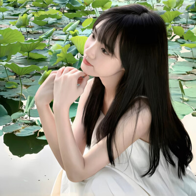 影子向玫瑰献忱落日与夕阳亲抚迟暮