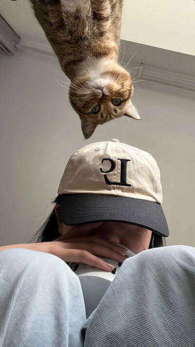 壁纸