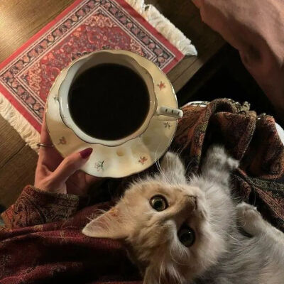 背景图