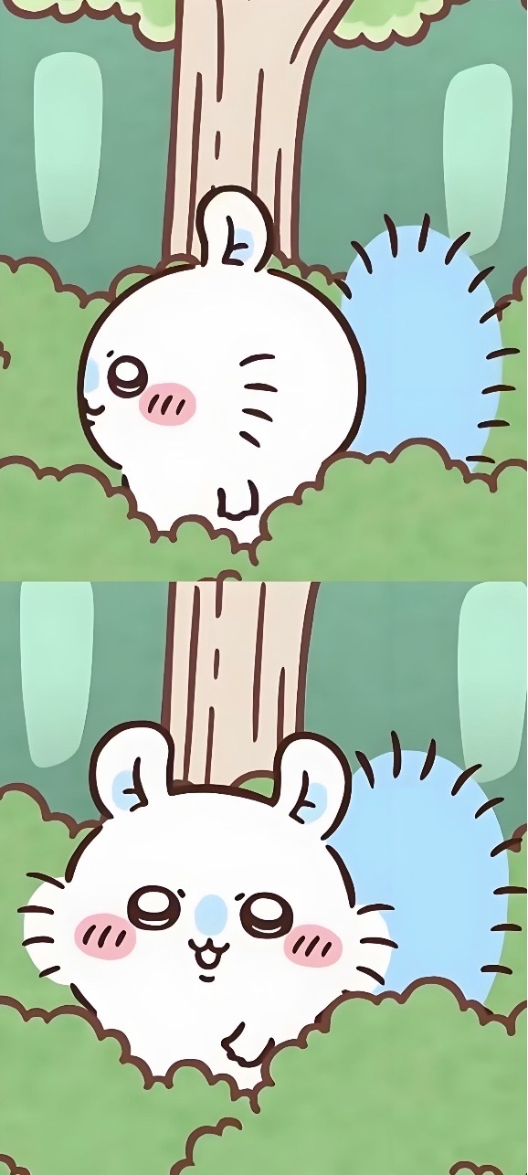 吉伊卡哇