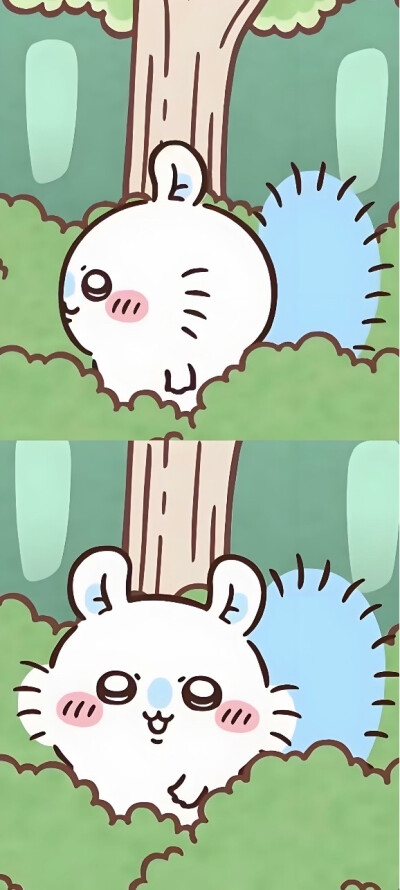 吉伊卡哇