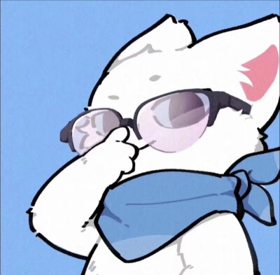 猫咪情头
图源小红书@猫了么