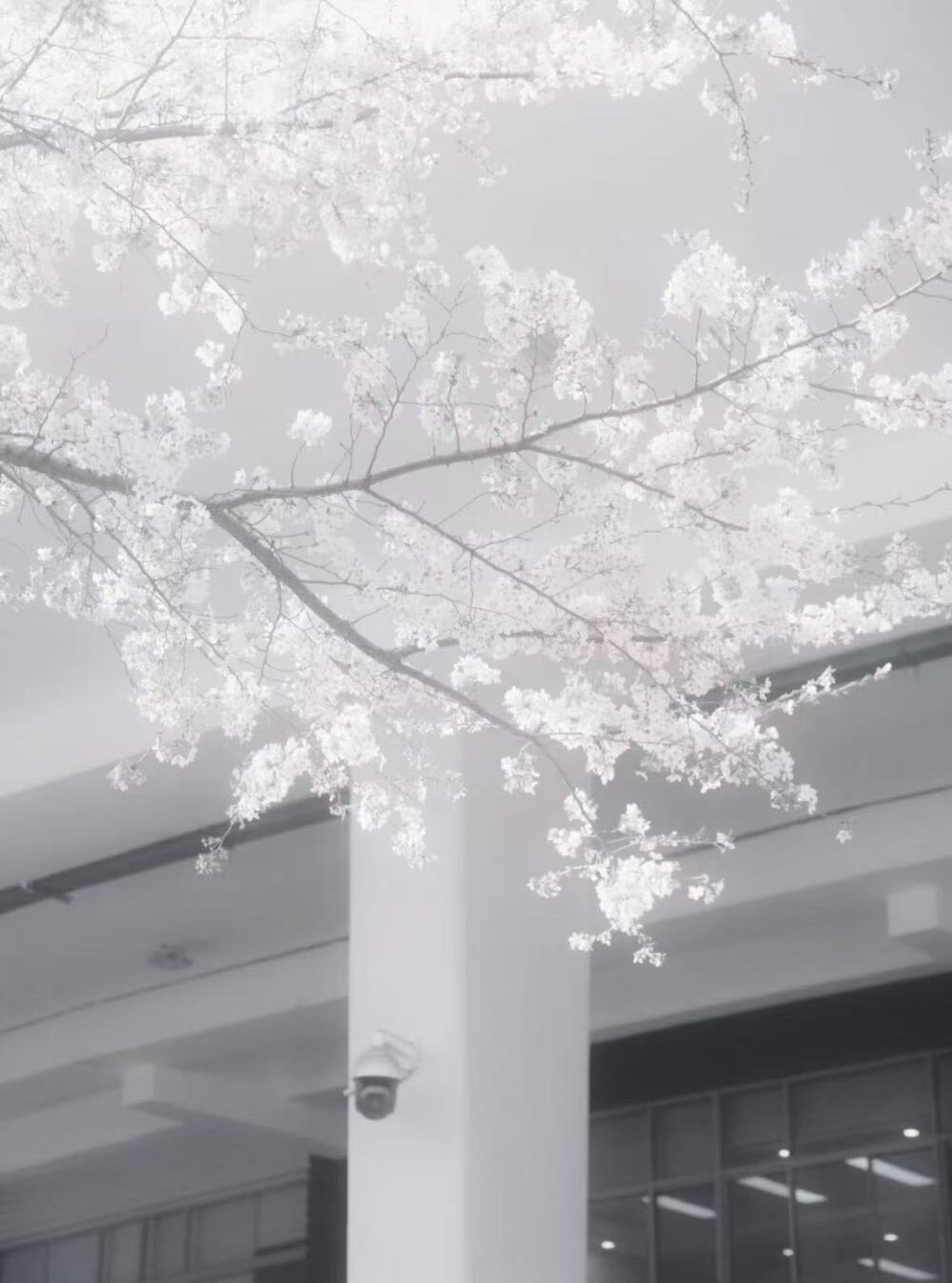 我来啦 这个潮汐般的言语的图太好看了 也是回来就发了我们谢谢爸爸 谢谢妈妈 谢谢奶奶 谢谢爷爷 谢谢外公 谢谢外婆谢谢姐姐 谢谢哥哥 谢谢弟弟 谢谢姐姐 谢谢妹妹 谢谢胡巴