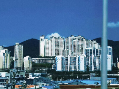 白敬亭