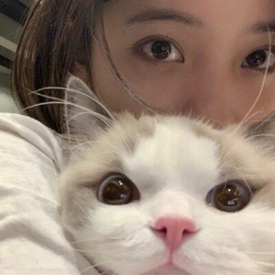˖⁩ ♡︎